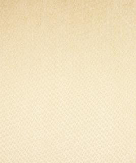 Exclaim Ivory M6795 by Barrow Industries Designer Fabric Textures/Solids/13C01 70% RAYON
19% POLYESTER
11% COTTON Asia 39,000 DOUBLE RUBS Horizontal: N/A and Vertical: N/A 59" - Swanky Fabrics -