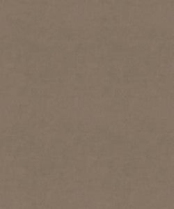 Counterpoint 31101 M9989 By Barrow Industries Fabric