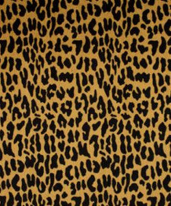 Saunter Safari M8539 by Barrow Fabric