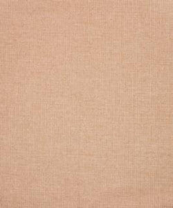 Jojoba 11303 M10538R by Barrow Fabric