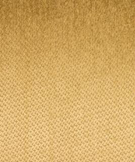Exclaim Coin M6795 by Barrow Designer Fabric 13C01 70% RAYON 19% POLYESTER 11% COTTON CHINA 39,000 DOUBLE RUBS </p><p>Repeat: Horizontal: N/A and Vertical: N/A 54" Minimum - Swanky Fabrics -