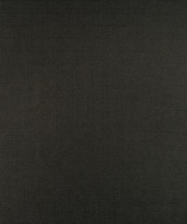 Pasadena Graphite M9134 by Barrow Industries Designer Fabric Transitional/1569 52% POLYESTER FILAMENT-TEXTURED
48% POLYESTER FILAMENT NON-TEXTURED Asia 30,000 DOUBLE RUBS Horizontal: N/A and Vertical: N/A 58" - Swanky Fabrics -