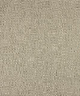 Pupil 12312 M10310 by Barrow Industries Designer Fabric Modern/Contemporary/17CL09 79% POLYESTER (S)
21% POLYESTER (F) Asia 50,000 DOUBLE RUBS Horizontal: 3/4" and Vertical: 3/4" 58" - Swanky Fabrics -