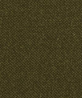 Genesis 2107 M11113 by Barrow Industries Fabric Barrow Industries Fabric Genesis 2107 M11113Fabric DRS GENESIS 100% POLYESTER Imported </p><p>Repeat: H: , V: 56" - Fabric Carolina -