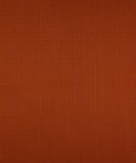 Terrapin Creek Cinnamon M8926 by Barrow Designer Fabric 11C06 69% POLYESTER (F) 31% COTTON CHINA 12,000 DOUBLE RUBS </p><p>Repeat: Horizontal: N/A and Vertical: N/A 54" Minimum - Swanky Fabrics -