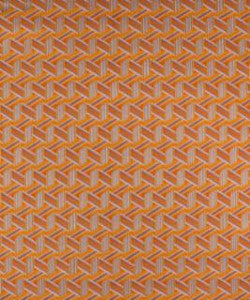 Linneus 11417 M9891 by Barrow Fabric