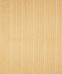 Shackleford Golden M8946 by Barrow Fabric