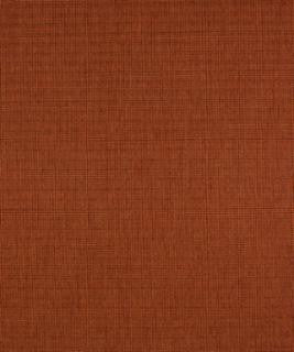 Phenom Coral M8923 by Barrow Designer Fabric 13C04 51% RAYON
49% POLYESTER CHINA 70,000 DOUBLE RUBS </p><p>Repeat: Horizontal: N/A and Vertical: N/A 54" Minimum - Swanky Fabrics -