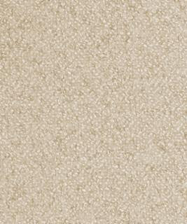 Genesis 41101 M11113 by Barrow Industries Fabric Barrow Industries Fabric Genesis 41101 M11113Fabric 22C10 100% POLYESTER Imported </p><p>Repeat: H: , V: 56" - Fabric Carolina -