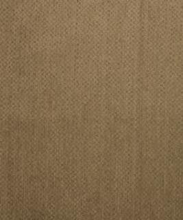 Sumptuous 11303 M10351 by Barrow Designer Fabric 18C01 100% POLYESTER CHINA 15,000 DOUBLE RUBS </p><p>Repeat: Horizontal: and Vertical: 54" Minimum - Swanky Fabrics -