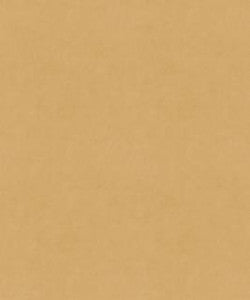 Counterpoint 41005 M9989 by Barrow Industries Fabric
