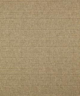 Caspian 11111 M10256 by Barrow Fabric 18C02 66% POLYESTER FILAMENT-TEXTURED
34% POLYESTER FILAMENT NON-TEXTURED CHINA 36,000 DOUBLE RUBS </p><p>Repeat: Horizontal: and Vertical: 54" Minimum - Fabric Carolina -