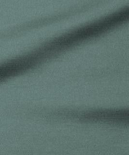 Cosmic Rays 32004 M10799 by Barrow Industries Fabric 21CL04 100% POLYESTER FILAMENT NON-TEXTURED CHINA </p><p>Repeat: Horizontal: and Vertical: 54" Minimum - Fabric Carolina -