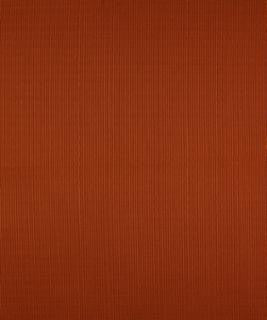 Terrapin Creek Cinnamon M8926 by Barrow Fabric 11C06 69% POLYESTER (F)
31% COTTON CHINA 12,000 DOUBLE RUBS </p><p>Repeat: Horizontal: N/A and Vertical: N/A 54" Minimum - Fabric Carolina -