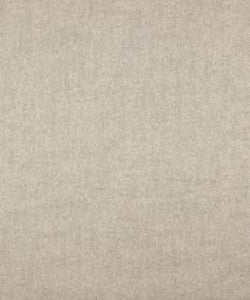 Term 22312 M10316 By Barrow Industries Fabric