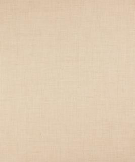 Tenacious Natural M9437 by Barrow Fabric 15CL04 100% POLYESTER FILAMENT-TEXTURED CHINA 50,000 DOUBLE RUBS </p><p>Repeat: Horizontal: N/A and Vertical: N/A 54" Minimum - Fabric Carolina -