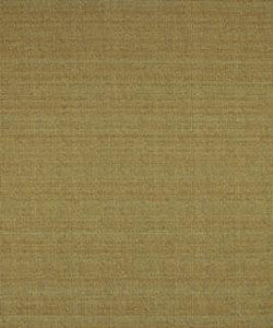 Glenn River M8372 By Barrow Industries Fabric