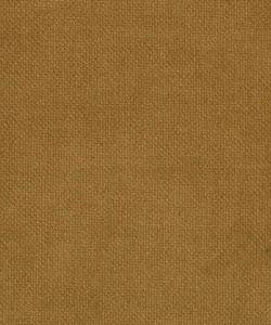 Sean Camel M7926 by Barrow Fabric