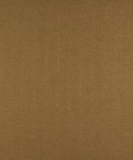 Brinkley Rattan M7286 by Barrow Industries Designer Fabric Transitional/1213 52% POLYESTER FILAMENT-TEXTURED
48% POLYESTER FILAMENT NON-TEXTURED Asia 30,000 DOUBLE RUBS Horizontal: N/A and Vertical: N/A 58" - Swanky Fabrics -