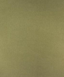 Exhale 52103 M10078 By Barrow Industries Fabric
