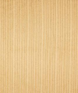 Shackleford Golden M8946 by Barrow Designer Fabric 11C07 80% RAYON 20% POLYESTER CHINA 9,000 DOUBLE RUBS </p><p>Repeat: Horizontal: N/A and Vertical: N/A 54" Minimum - Swanky Fabrics -