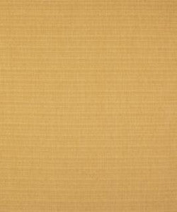 Perez Plantain M9062 by Barrow Fabric