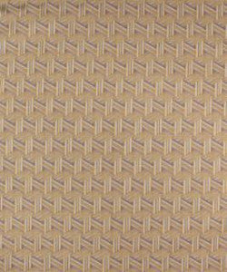 Linneus 11215 M9891 by Barrow Fabric