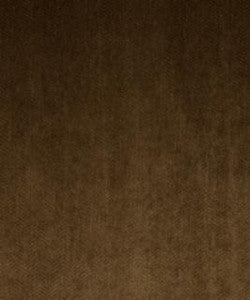 Moxie Espresso M9452 by Barrow Fabric
