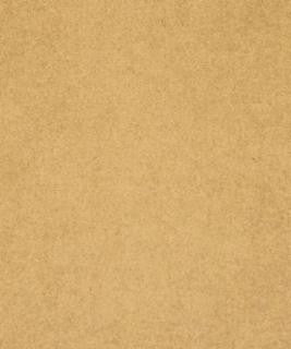 Somerville Camel M8915 by Barrow Fabric 1113 100% POLYESTER CHINA 24,000 DOUBLE RUBS </p><p>Repeat: Horizontal: N/A and Vertical: N/A 54" Minimum - Fabric Carolina -