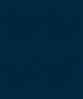 Counterpoint 91908 T11398 by Barrow Industries Fabric 21C08 100% POLYESTER KNIT PILE FABRIC CHINA </p><p>Repeat: Horizontal: and Vertical: 54" Minimum - Fabric Carolina -