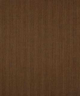 Diligent Coffee M9273 by Barrow Fabric 13C05 100% POLYESTER FILAMENT NON-TEXTURED CHINA 30,000 DOUBLE RUBS </p><p>Repeat: Horizontal: and Vertical: 54" Minimum - Fabric Carolina -