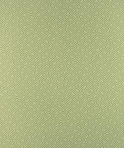 Transom Kiwi M9729 by Barrow Fabric