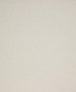 Instinct 11011 M10523R by Barrow Fabric