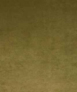 Gloss Sage M8913 by Barrow Industries Designer Fabric Performance Fabrics/12C01 91% POLYESTER
9% NYLON Asia 50,000 DOUBLE RUBS Horizontal: N/A and Vertical: N/A 59" - Swanky Fabrics -