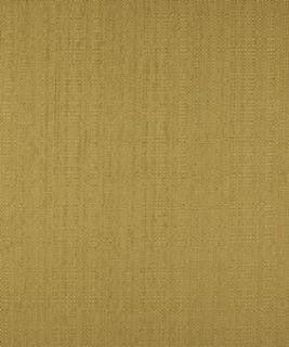 Wanchese Mint M8739 by Barrow Fabric 11C05 100% POLYESTER CHINA 15,000 DOUBLE RUBS </p><p>Repeat: Horizontal: N/A and Vertical: N/A 54" Minimum - Fabric Carolina -