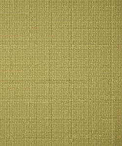 Fort Macon Alfalfa M8692 by Barrow Fabric