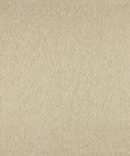 Pupil 11111 M10310 by Barrow Industries Designer Fabric Modern/Contemporary/17CL09 79% POLYESTER (S)
21% POLYESTER (F) Asia 50,000 DOUBLE RUBS Horizontal: 3/4" and Vertical: 3/4" 58" - Swanky Fabrics -