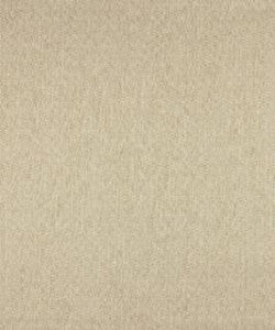 Pupil 11111 M10310 by Barrow Fabric