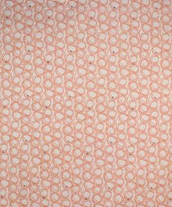Biscenti 21415 M9861 By Barrow Industries Fabric