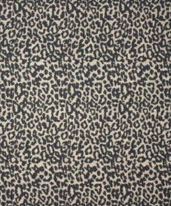 Piracy 12316 M11013 by Barrow Industries Fabric