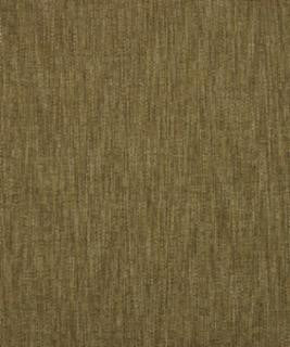 Salish 12115 M10361 by Barrow Fabric 18C02 100% POLYESTER CHINA 15,000 DOUBLE RUBS </p><p>Repeat: Horizontal: and Vertical: 54" Minimum - Fabric Carolina -