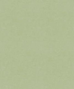 Counterpoint 62101 M9989 By Barrow Industries Fabric