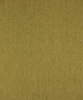 Galley Lime M8925 by Barrow Industries Designer Fabric Transitional/15CL02 100% POLYESTER Asia 12,000 DOUBLE RUBS Horizontal: N/A and Vertical: N/A 57" - Swanky Fabrics -