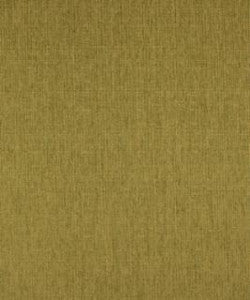 Galley Lime M8925 By Barrow Industries Fabric