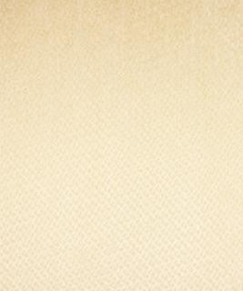 Exclaim Ivory M6795 by Barrow Designer Fabric 13C01 70% RAYON
19% POLYESTER
11% COTTON CHINA 39,000 DOUBLE RUBS </p><p>Repeat: Horizontal: N/A and Vertical: N/A 54" Minimum - Swanky Fabrics -