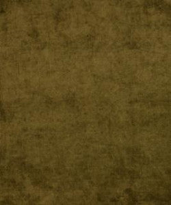 Shine Pesto M9276 by Barrow Fabric