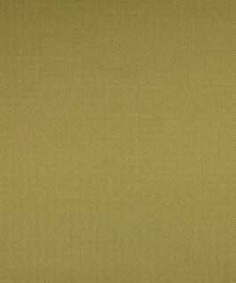 Harkers Island Sprout M8654 by Barrow Designer Fabric 11C05 52% POLYESTER (S)
48% POLYESTER (F) CHINA 50,000 DOUBLE RUBS </p><p>Repeat: Horizontal: N/A and Vertical: N/A 54" Minimum - Swanky Fabrics -