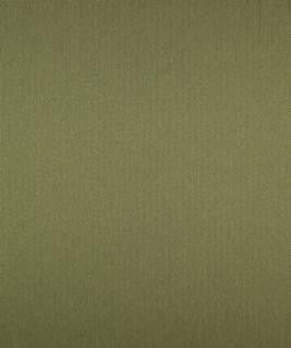 Well Suited Basil M9247 by Barrow Industries Designer Fabric Performance Fabrics/12CL06 100% POLYESTER FILAMENT NON-TEXTURED Asia 50,000 DOUBLE RUBS Horizontal: N/A and Vertical: N/A 60" - Swanky Fabrics -
