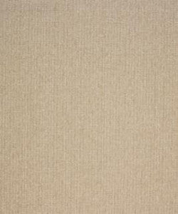 Philander 11102 M10542 by Barrow Fabric