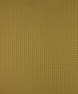 Gridlock Alfalfa M8189 by Barrow Fabric 2907 53% RAYON (S)
47% POLYESTER (F) CHINA 15,000 DOUBLE RUBS </p><p>Repeat: Horizontal: 0-1/2" and Vertical: 0-3/4" 54" Minimum - Fabric Carolina -